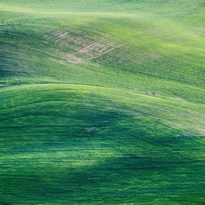 游戏蜂窝免登录vip破解版下载